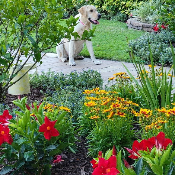 Meet your Posher, Marisa - Picture 11 of 16